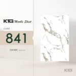 Shine 841