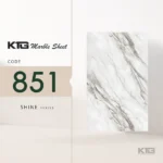 Shine 851