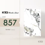Shine 857