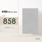 Shine 858